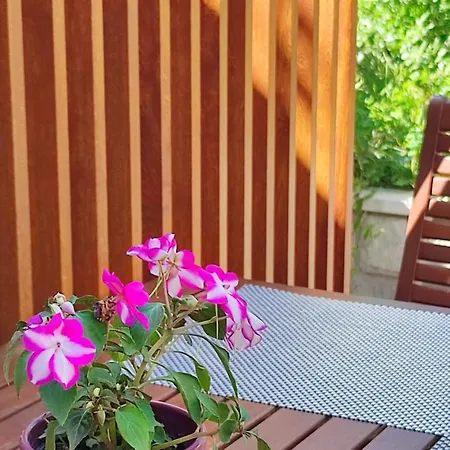 Ana Apartment Molunat