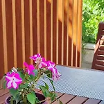 Ana Apartmán Molunat
