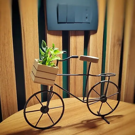 Ana Apartment *