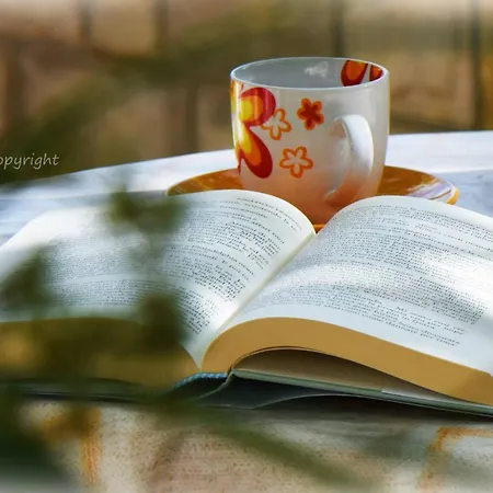 Ana Апартаменты Молунат